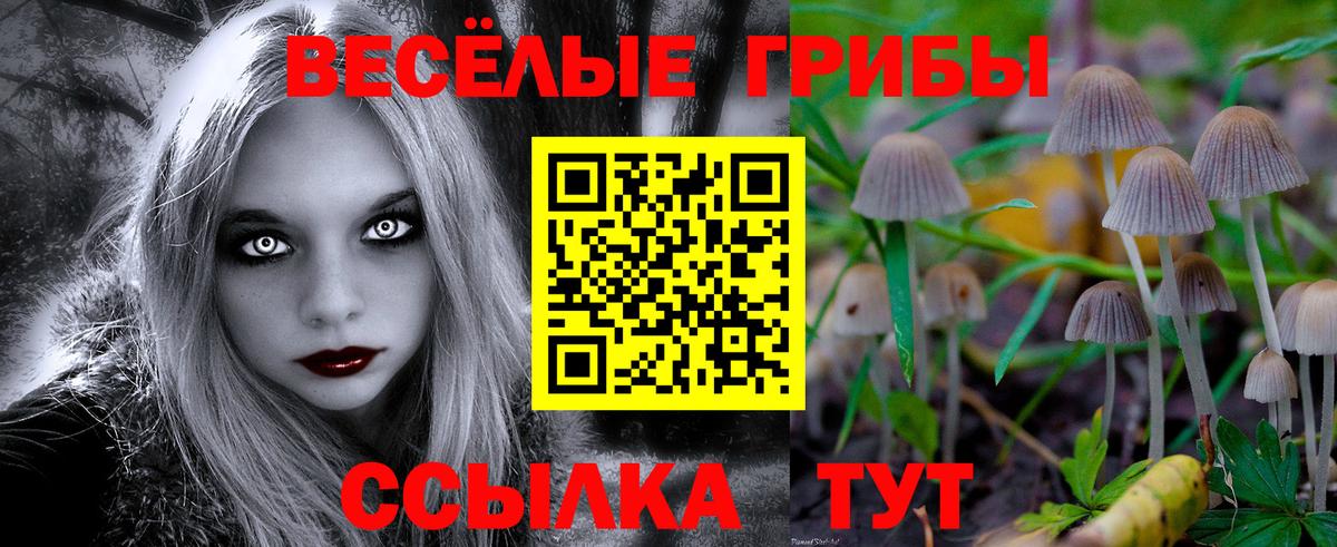 Луга  Галлюциногенные грибы MAGIC MUSHROOMS  Вход с VPN 