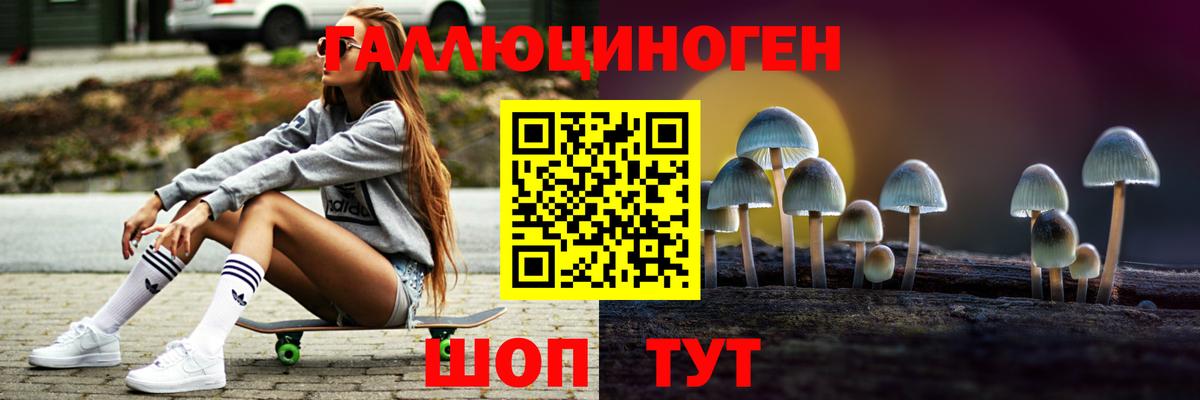 Галлюциногенные грибы Psilocybine cubensis Луга